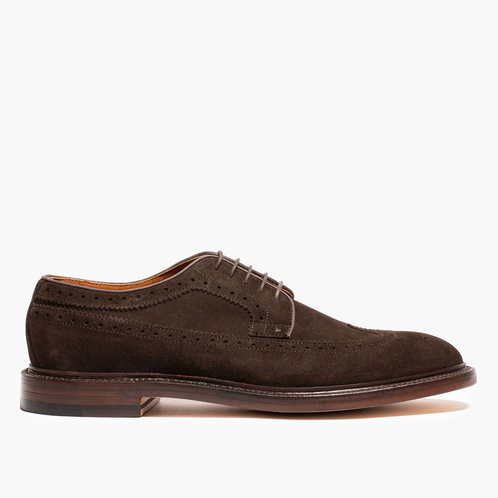 Longwing - Espresso Suede