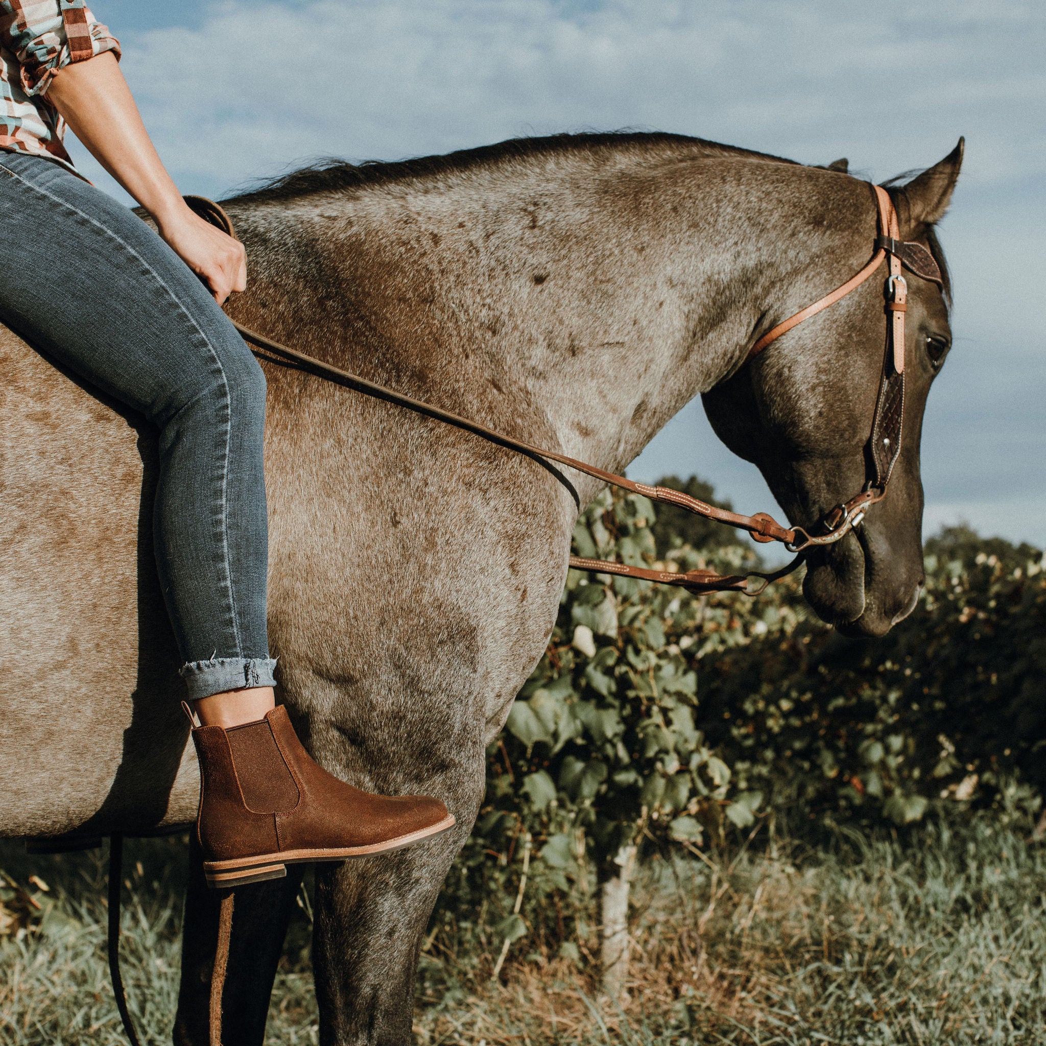 Josephine Chelsea Boot Dark Oak Roughout - Main Image